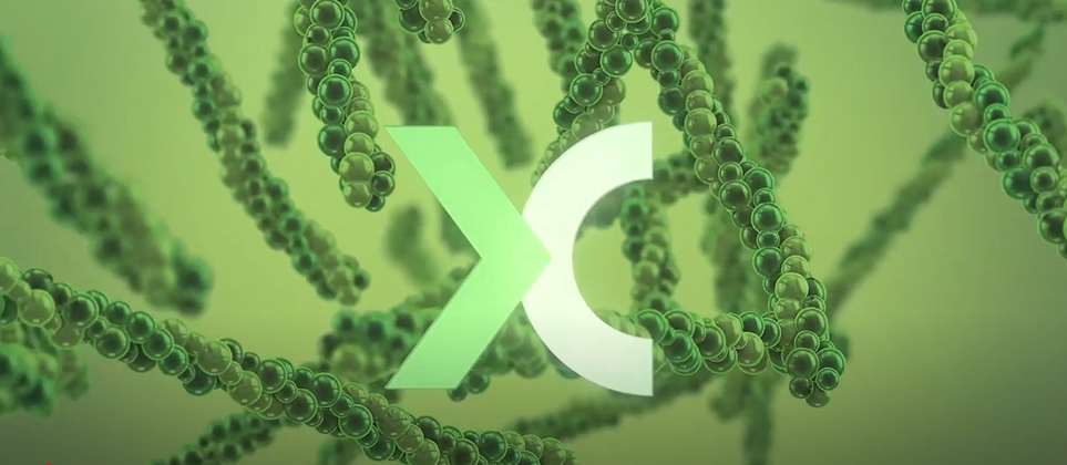 Nextida video